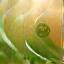 Amara Wellness Spa Logo